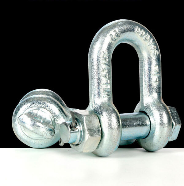 G210 D Type Shackle