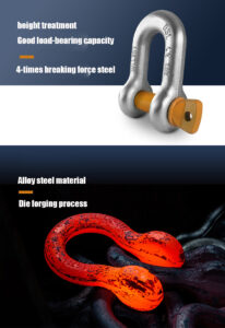 G210 D Type Shackle