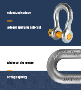 G210 D Type Shackle